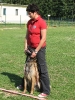 Landessiegerprüfung Obedience am 30.05.2009  _56