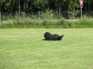 Landessiegerprüfung Obedience am 30.05.2009  _70