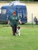 Landessiegerprüfung Obedience am 30.05.2009  _72