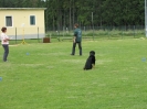 Landessiegerprüfung Obedience am 30.05.2009  _98