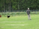 Landessiegerprüfung Obedience am 30.05.2009  _99