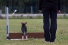 Obedience-Prüfung am 24./25.10.2009  _112