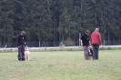 Obedience-Prüfung am 24./25.10.2009 _121