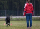 Obedience-Prüfung am 24./25.10.2009  _18