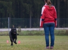 Obedience-Prüfung am 24./25.10.2009  _18