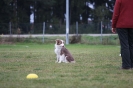 Obedience-Prüfung am 24./25.10.2009 _205