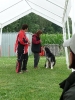 Obedience-Seminar am 12./13.07.2008  _146