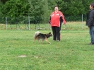 Obedience-Seminar am 12./13.07.2008  _160