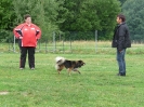 Obedience-Seminar am 12./13.07.2008  _184