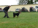 Obedience-Seminar am 12./13.07.2008 