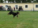 Obedience-Seminar am 12./13.07.2008  _201