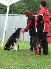 obedience-seminar am 12 13072008  136 20150313 1511295002