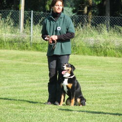 Landessiegerprüfung Obedience am 30.05.2009
