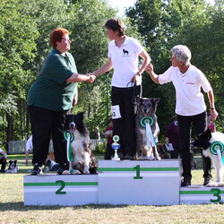 Bundessiegerprüfung Obedience 05.07.2009