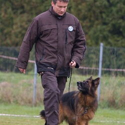 Obedience-Prüfung am 24./25.10.2009