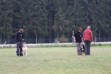 obedience-pruefung am 24 25102009  121 20150313 1710734882