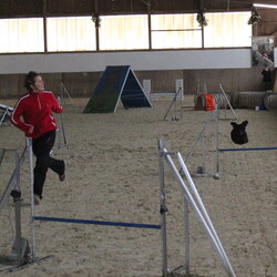 Agility-Turnier am 11.12.2010